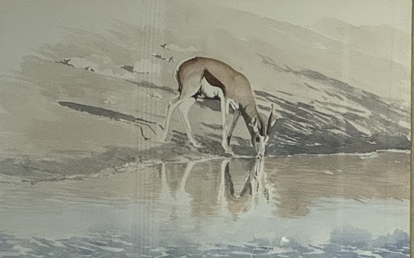 Click here to view A lone Springbok by Karen Richards