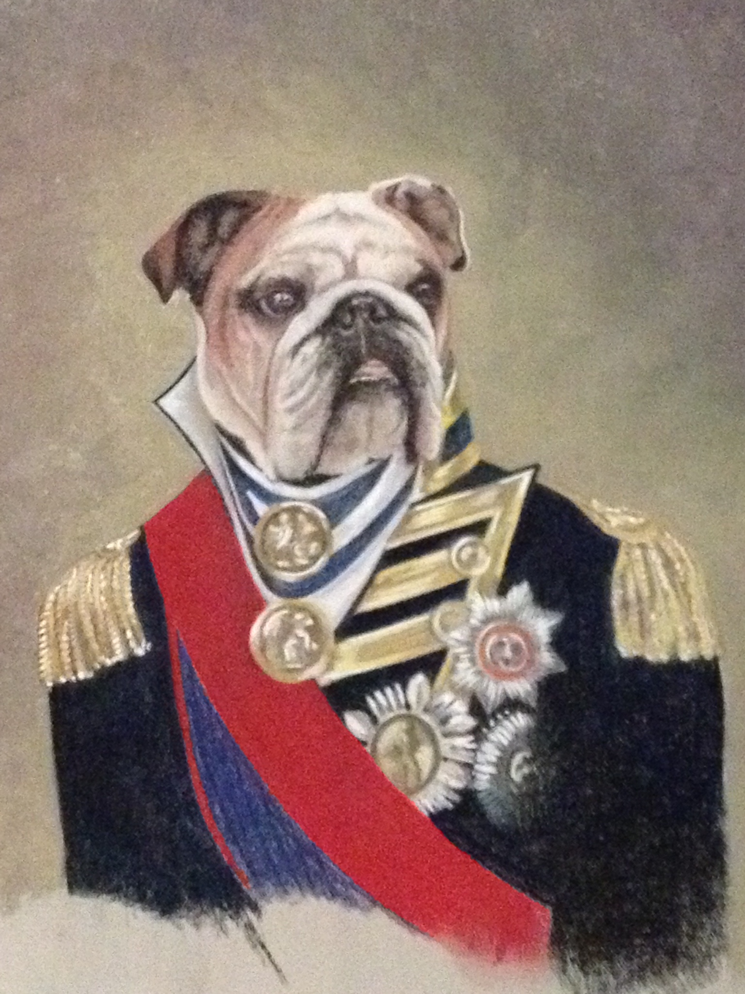 Click here to view Admiral Bouncer by Karen Richards