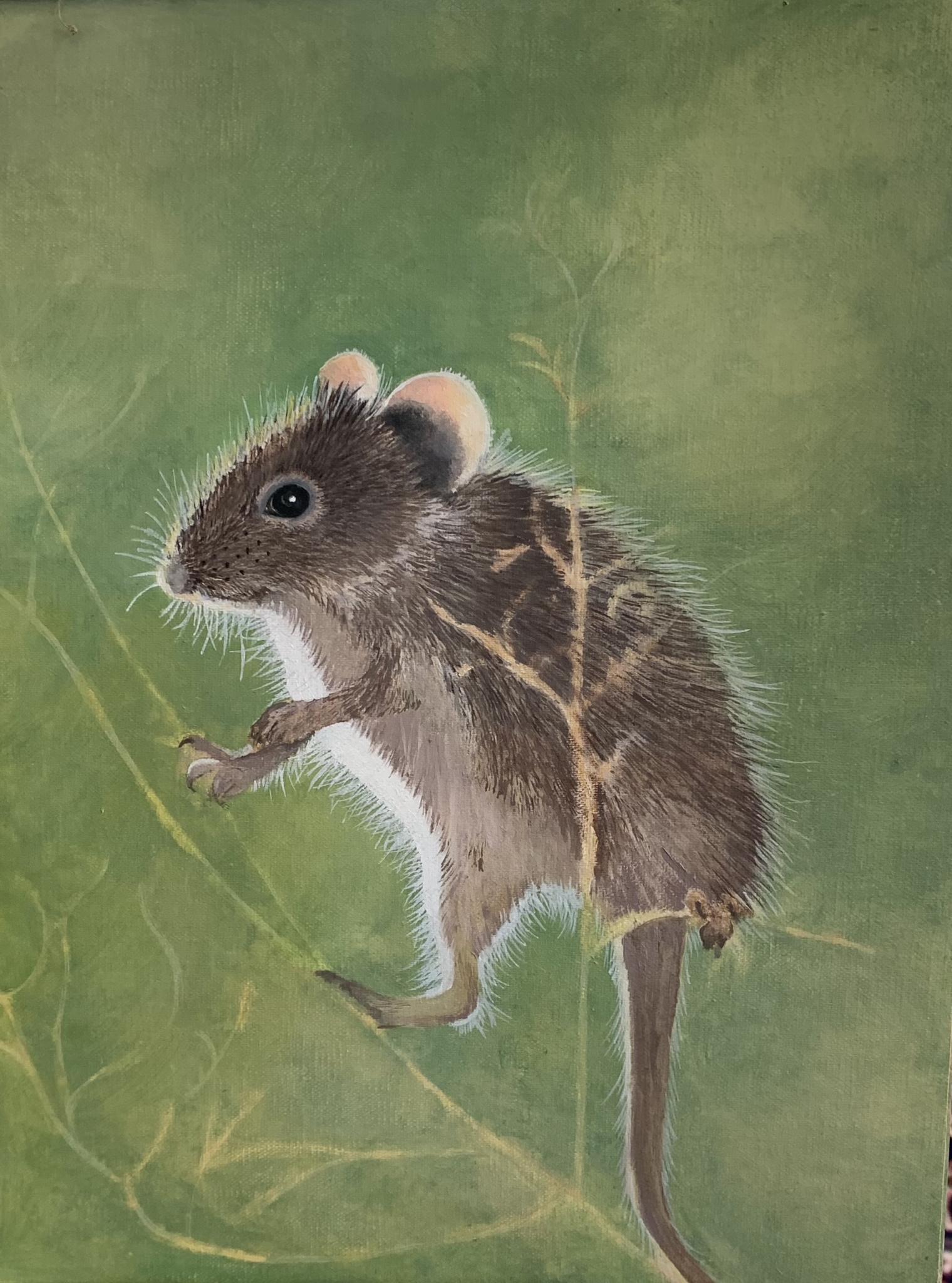 Click here to view Mouse in the moment by Karen Richards