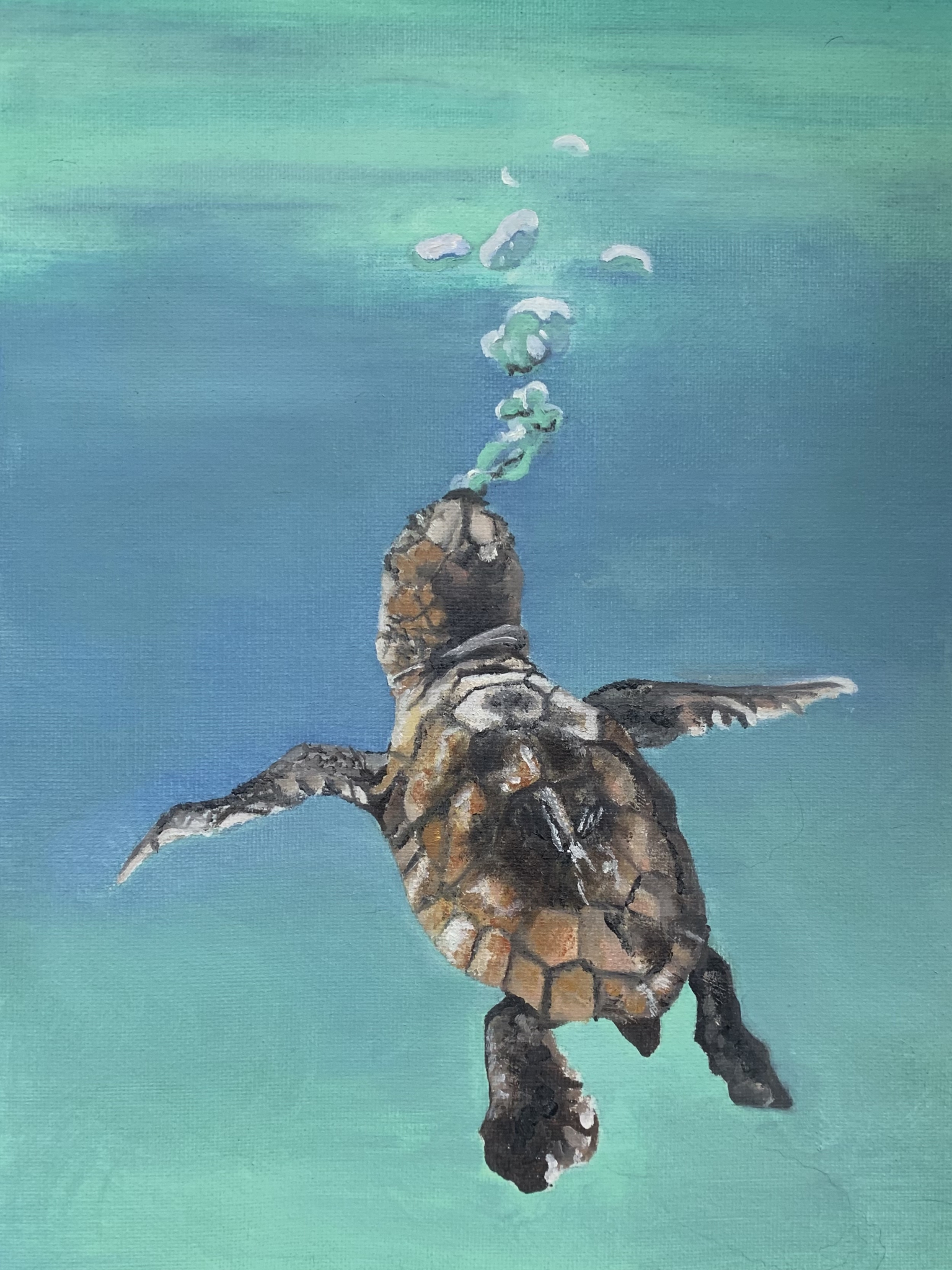 Click here to view Blowing Bubbles by Karen Richards