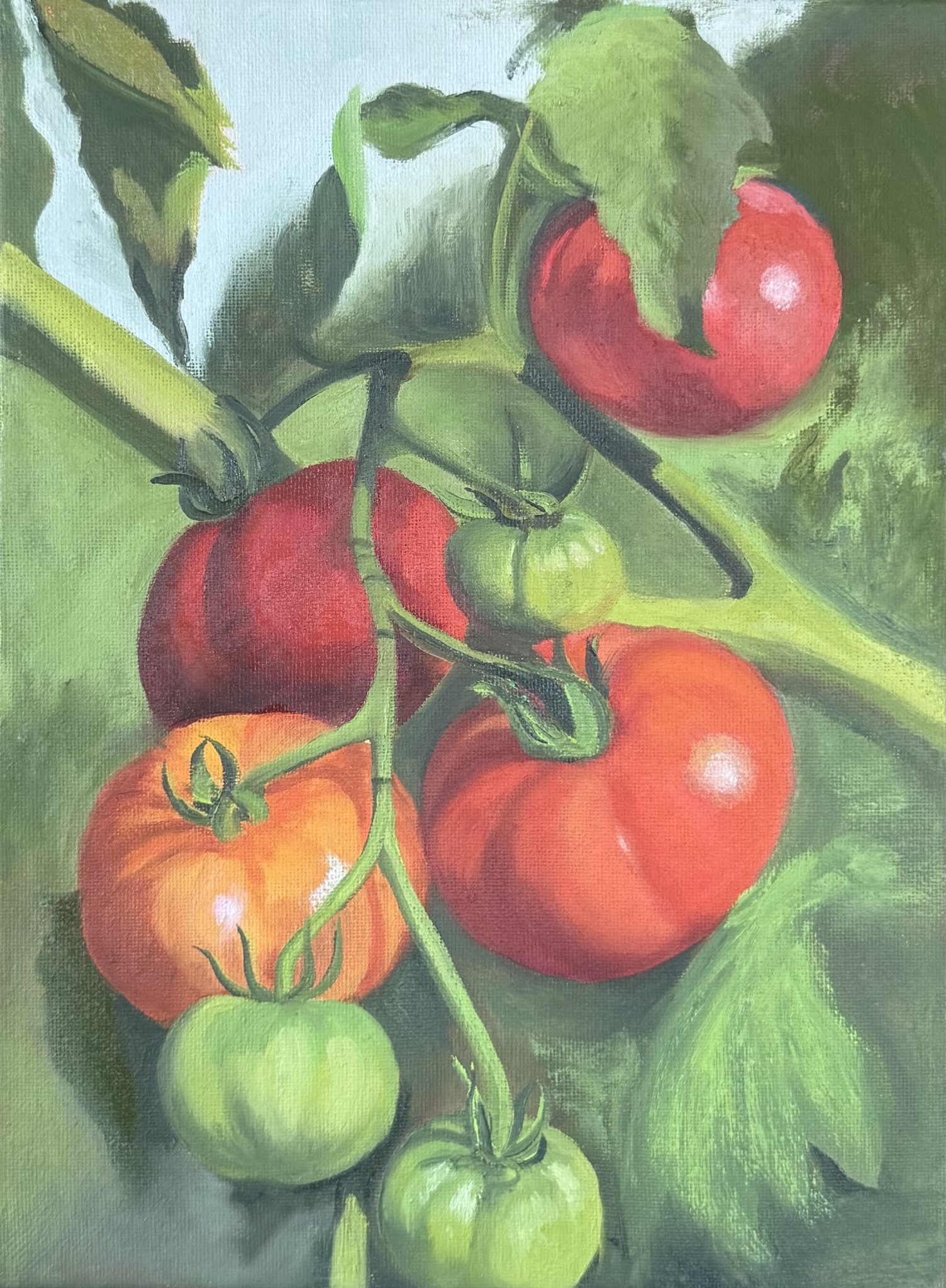 Click here to view Tomatoes  by Karen Richards