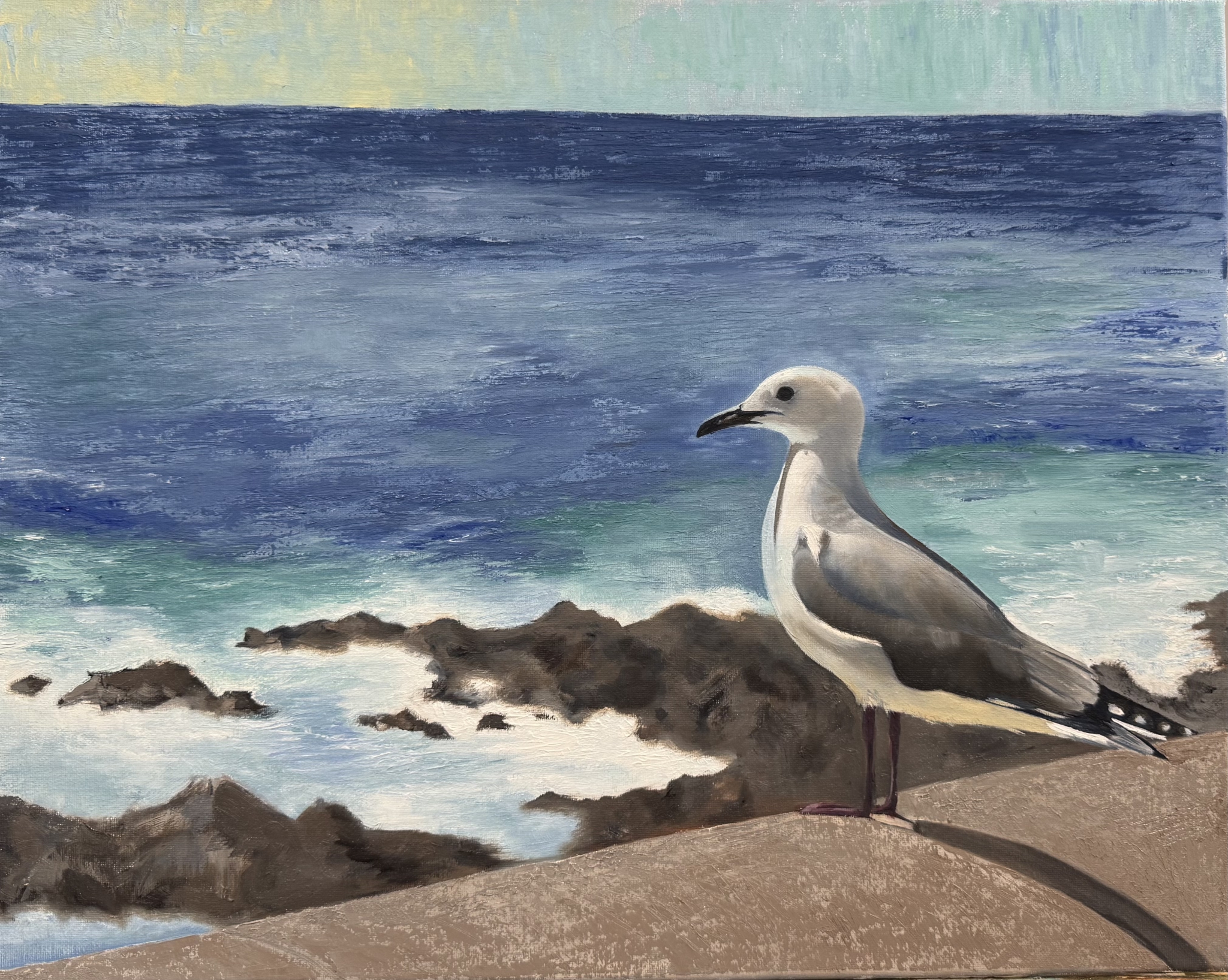 Click here to view The Seagull’s name was Nelson by Karen Richards